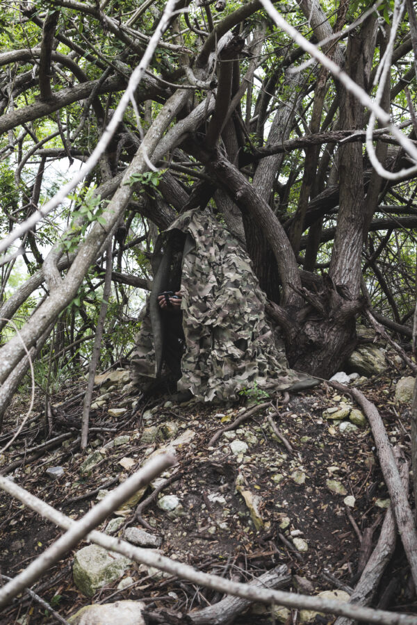 Cold-Blooded Hide - Image 6